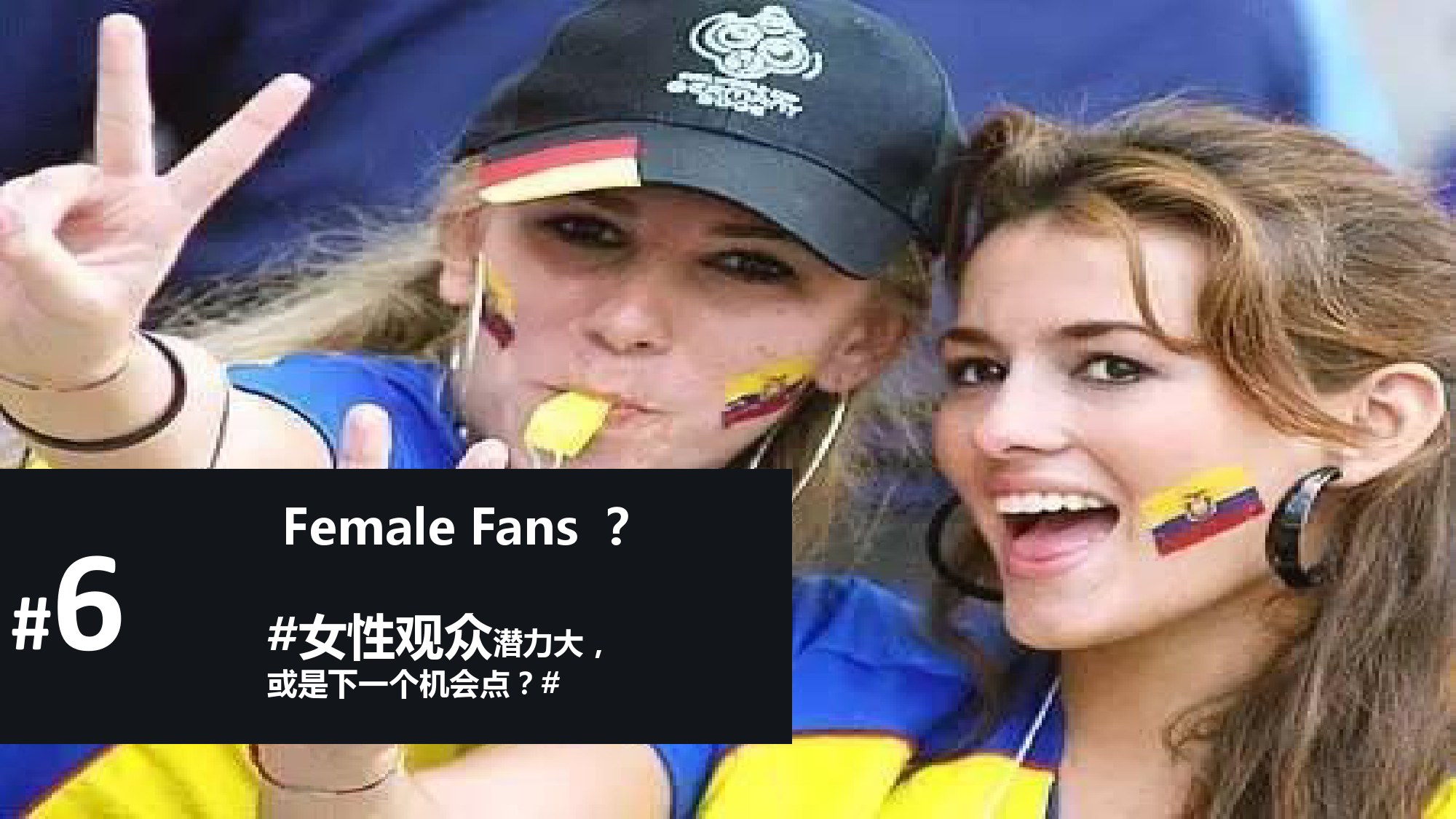2016″欧洲杯”人群画像分析 & 6大营销洞察